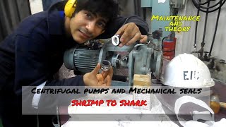 Centrifugal Pumps and Mechanical Seals  Maintenance and Theory [upl. by Ahsenrat511]