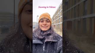 Snow 🇩🇰 reels denmark odense copenhagen firstsnow winter studyabroad indianstudentsabroad [upl. by Avika17]