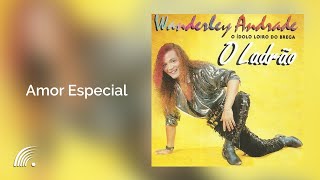 Wanderley Andrade  Amor Especial  O Ladrão [upl. by Grey]