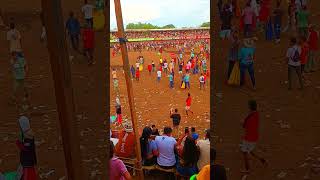 Corralejas de la costa colombia toros tradiciones españa corraleja [upl. by Petty]