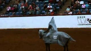 Freestyle Reining  Appaloosa World Show Part 2wmv [upl. by Akirdnahs]