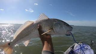 pescando galveston tx tiki islad fishin kayak red drum galvesto [upl. by Lorna]