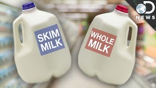 Whole vs Skim Which Milk Is Better For You [upl. by Eseenaj610]