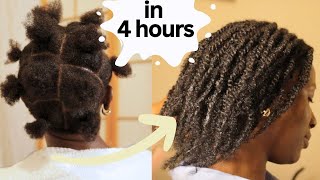 Detailed Mini Twist Two strand twist Tutorial on Short Natural hair [upl. by Wightman]