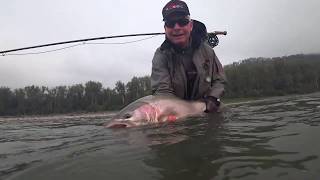 Chromatic Journey  BC Steelhead [upl. by Cuthbertson]