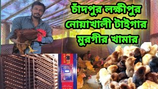 চাঁদপুর কুমিল্লা লক্ষীপুর টাইগার মুরগীর খামার  টাইগার মুরগীর খামার  01721727116 [upl. by Vergos]