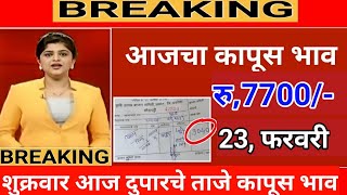 आजचे Live कापूस भाव 23 फरवरी 2024  kapus bhav today कापूसबाजारभावआजचे [upl. by Htenywg521]