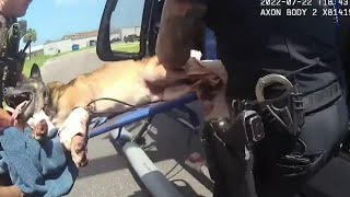 ‘Get him out of here now’ Bodycam shows moments officers save K9 shot while going after suspects [upl. by Theis731]