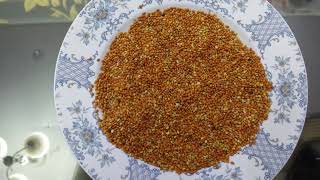 Lal kangniRed Panicum millet benefits in UrduHindi [upl. by Veradia]