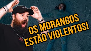 Greve de S3x0  MORANGOS COM AÇUCAR  TEMPORADA 4 MCA  EP3 resumo Rúben Branco [upl. by Luckett]