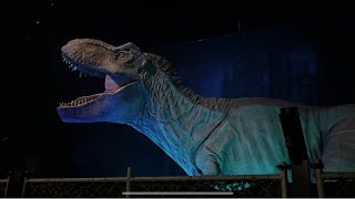 STROMAUSFALL IM TREX GEHÄGE😱 [upl. by Nosnorb137]