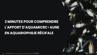 2 MINUTES POUR COMPRENDRE LAPPORT DAQUAMICROFAUNE EN AQUARIOPHILIE RÉCIFALE [upl. by Ailasor]