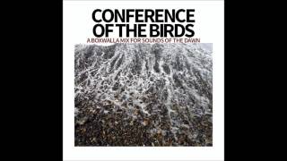 Conference Of The Birds – A Boxwalla Mix for Sounds Of The Dawn [upl. by Paresh]