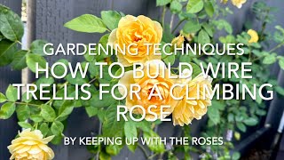 How to Build a Wire Trellis and Train Climbing Rose [upl. by Ibrek406]