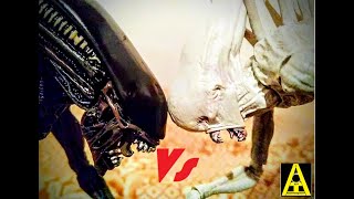 Alien protomorfo vs neomorfo Protomorph vs neomorph Xenomorfo vs neomorfo Xenomorph vs neomorph [upl. by Adlemy514]