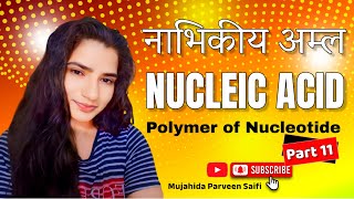 नाभिकीय अम्ल  Nucleic Acid  Polymer of Nucleotide  Part 11  Mujahida Parveen Saifi [upl. by Frodi553]