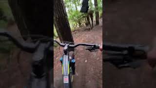 fun mtb nzmountainbiking mtbnz technical mountainbiking viralvideo challenge gopro [upl. by Niatsirk685]