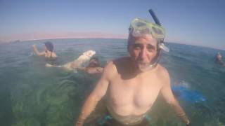 Snorkeling Eilat [upl. by Odlauso]