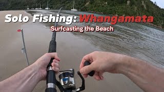 Surfcasting off Whangamata Beach with Sabiki Rigs and caught THESE [upl. by Riegel]