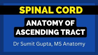 ASCENDING TRACTS OF SPINAL CORD An Overview [upl. by Rufford392]