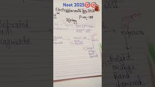 Gel electrophoresis for DNA 🧬 important points and pyq questions practice neet2025biology🎯🎯💯❤️❤️ [upl. by Millicent339]