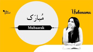 Urdunama  New Year 2022 Some Gems of Urdu Poetry to Start a Mubaarak New Year  The Quint [upl. by Wanyen]