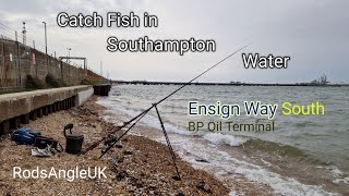 Catch Fish in Southampton Water ENSIGN WAY South [upl. by Ancell]