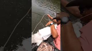 Alligator Fish Jumps In Boat to Attack Fisherman [upl. by Leiram956]