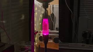 torchiere lamp lava lamp [upl. by Teodorico]