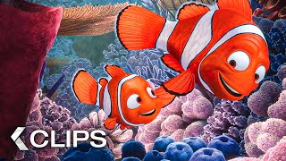 FINDING NEMO All Clips amp Trailer 2003 [upl. by Celik]