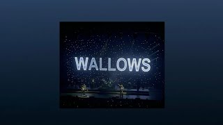 Wallows playlist [upl. by Tellford]