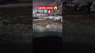 Canada 🌨️❄️❄️❄️❄️😱😱😱viralvideo ytshorts brother [upl. by Sipple314]