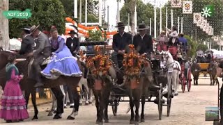 La Feria de Abril primavera en Sevilla [upl. by Wendalyn]