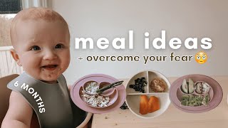 How to Start Baby Led Weaning at 6 Months  BLW Meals  6 Month Baby Update [upl. by Mccormick]