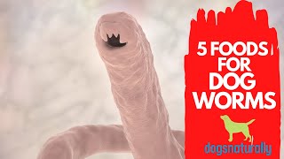 How To Get Rid of Dog Worms At Home The Natural Way [upl. by Eisoj]