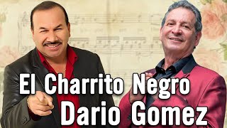 EL CHARRITO NEGRO y DARIO GOMEZ  Musica Popular Mix [upl. by Vanda]