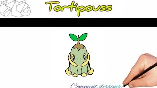 Comment dessiner Tortipouss  N°387 pokemon [upl. by Trout988]