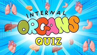 Human Organs Quiz for Kids  Internal Organs of the Human Body and Their Functions [upl. by Mian]