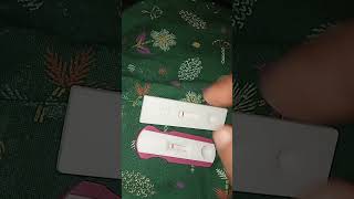 Pregnancy test light faint line pregnancy pregnant love [upl. by Joed363]