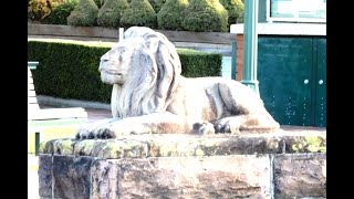 The Beaudesert Lion sighting in 1908 in Queensland [upl. by Llerrac]