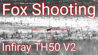 Shooting foxes with the Infiray Tube TH50 V2 in Australia [upl. by Aan56]