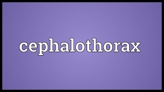 Cephalothorax Meaning [upl. by Gnilrad]