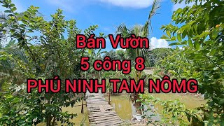 Bán vườn 5 công 8 Phú Ninh Tam Nông Đồng Tháp [upl. by Eihcir455]