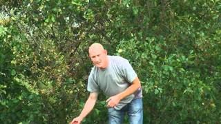 Fishing and feeding groundbait for carp bream roach and tench [upl. by Anatol]