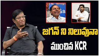 Imandi Rama Rao Analysis On CM Jagan amp KCR Meet  Ys Jagan amp KCR  Tree Media [upl. by Ttessil]