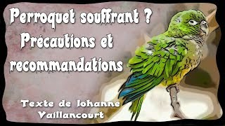 Comment reconnaître un perroquet souffrant selon les textes de Johanne Vaillancourt [upl. by Vedi]