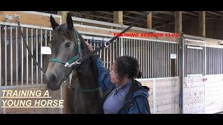 WHAT TRAINING LOOKS LIKE AS A 2YR OLD HORSE  Training Vlog  2 [upl. by Oelc]