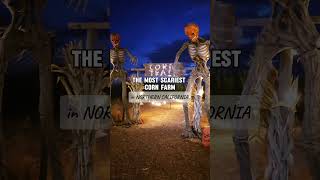 📍Corbetts House Of Horror  46500 Co Rd 32B Davis california halloween cornmaze clown scary [upl. by Gaughan]