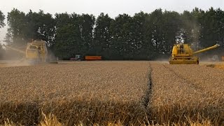 Two New Holland Clayson combines in action  140 amp 1545  Wheat harvest 2014  Holland [upl. by Konstance339]