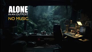 The Hidden Cabin ALONE Dark Ambient Focus No Music 4K [upl. by Dolphin]